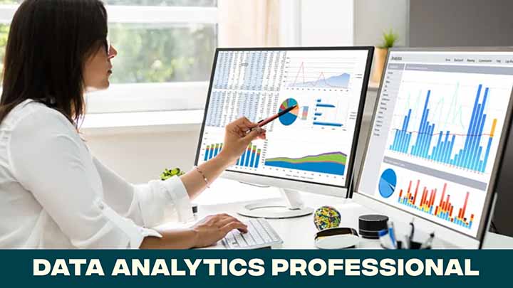 Data Analytics Professional