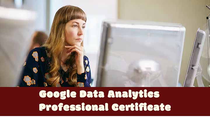 Google Data Analytics Professional Certificate